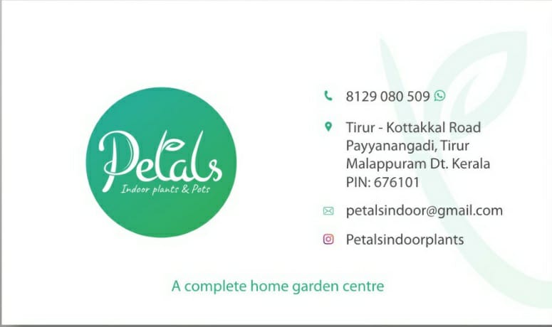 PETALS INDOOR PLANTS PAYYANGADI